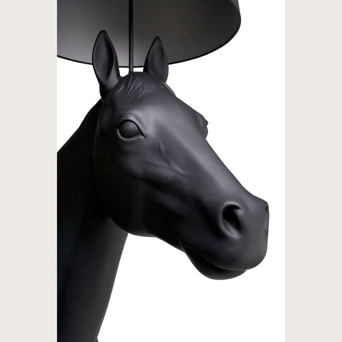 Black Horse Floor Lamp | Sculpture Lamps for Luxury Interiors